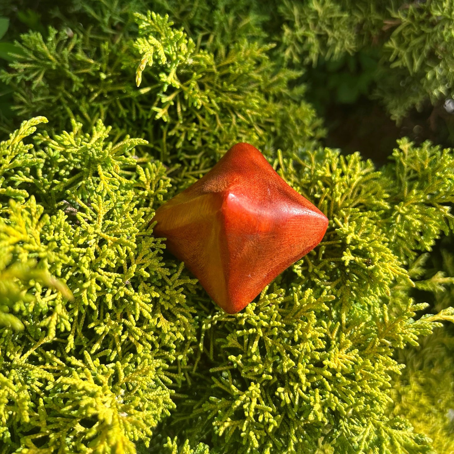 Akupressur Kugel aus Holz auf einer grünen Thuja Hecke.