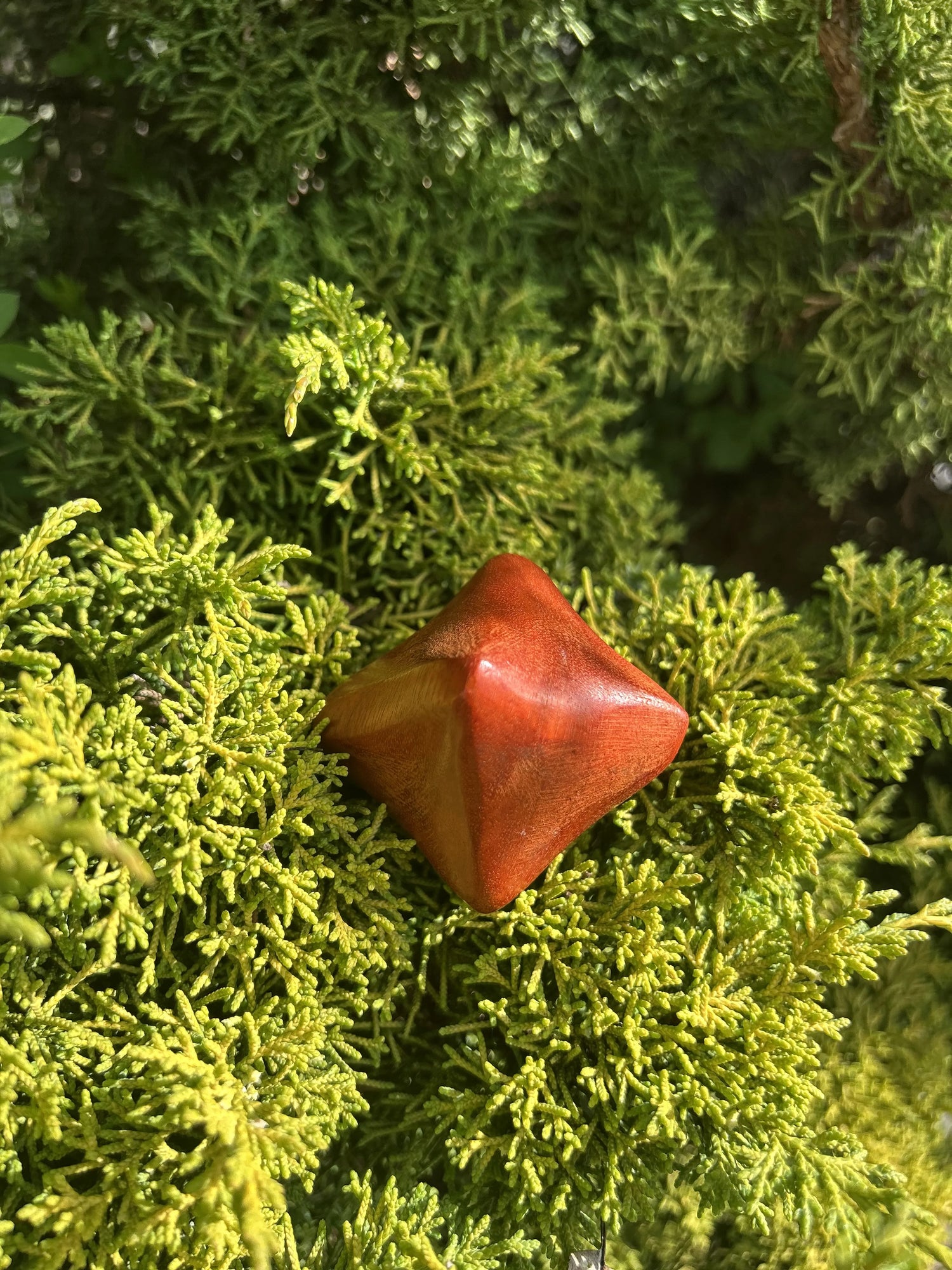 Akupressur Kugel aus Holz auf einer grünen Thuja Hecke.