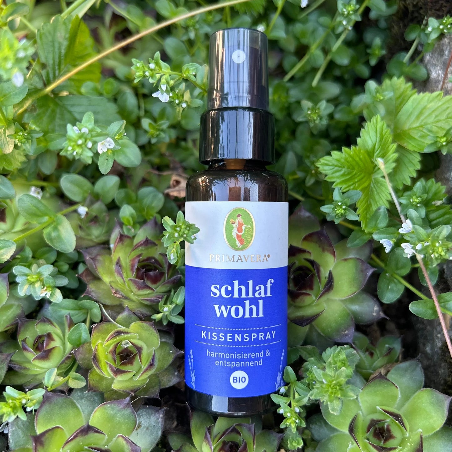 Auf grünen Pflanzen liegt der schlaf wohl Kissenspray.