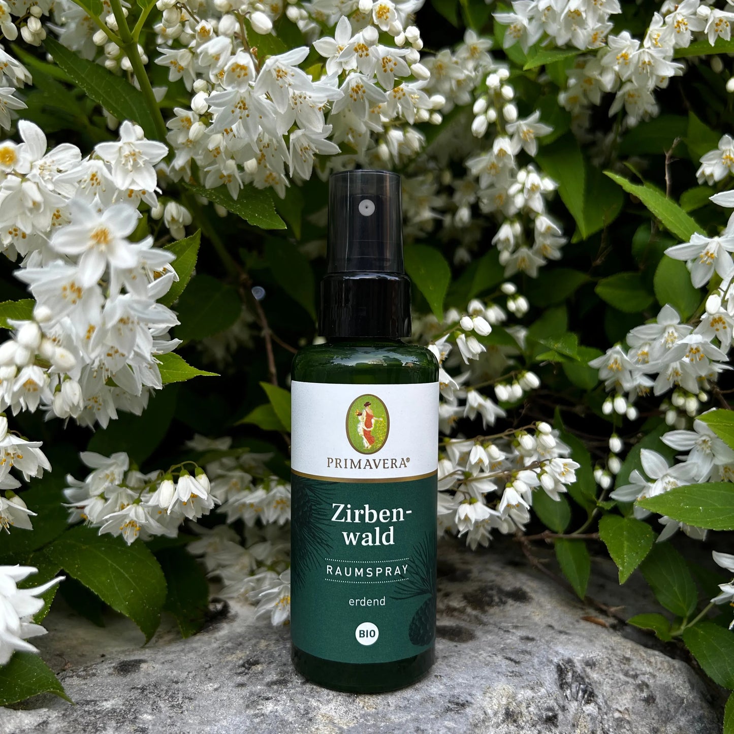 Der Zirbenwald Raumspray steht auf einem Stein vor schönen weissen Blumen.