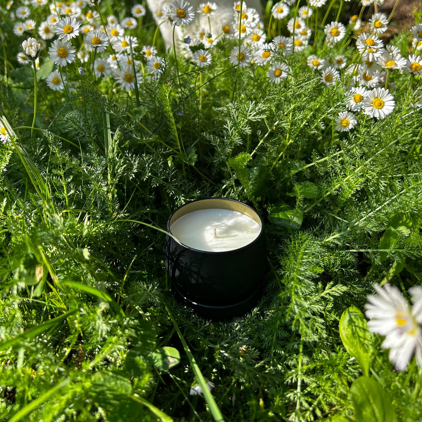 Duftkerze "Sidefiini"