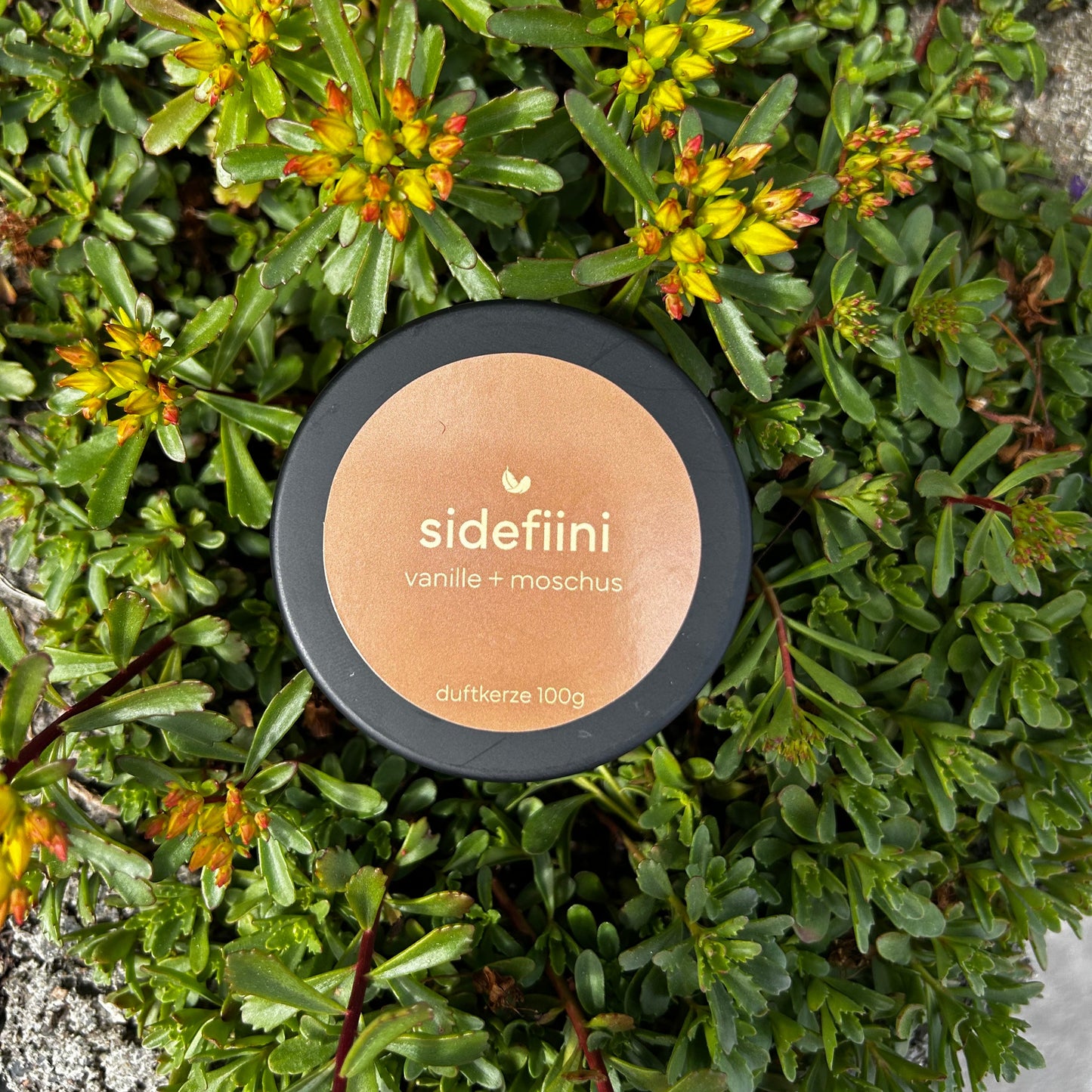 Duftkerze "Sidefiini"