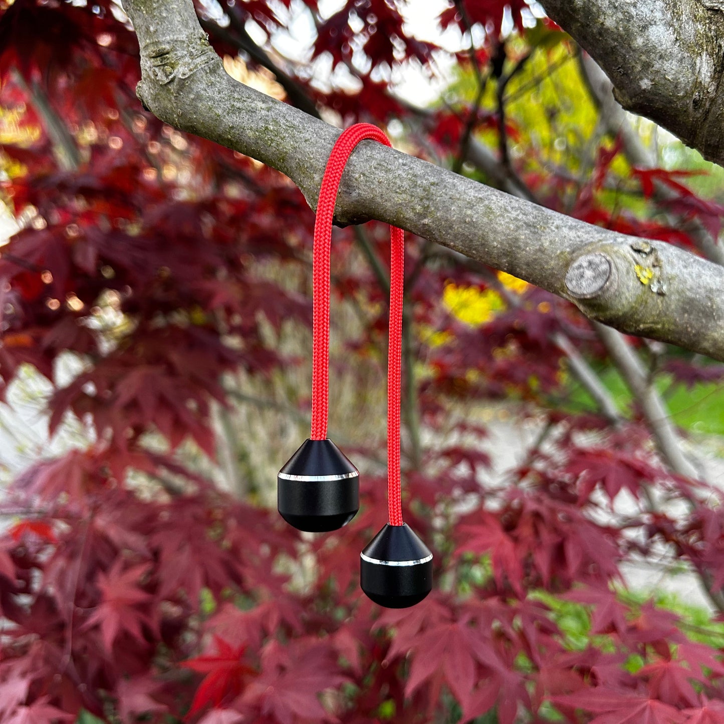 Das Finger Jo-Jo hängt an einem Ast und im Hintergrund sieht man schöne rote Blätter.