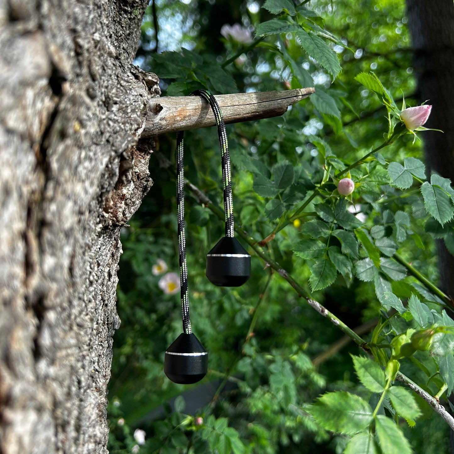 Gründer schwarzes Finger Jo-Jo hängt an einem Baum.