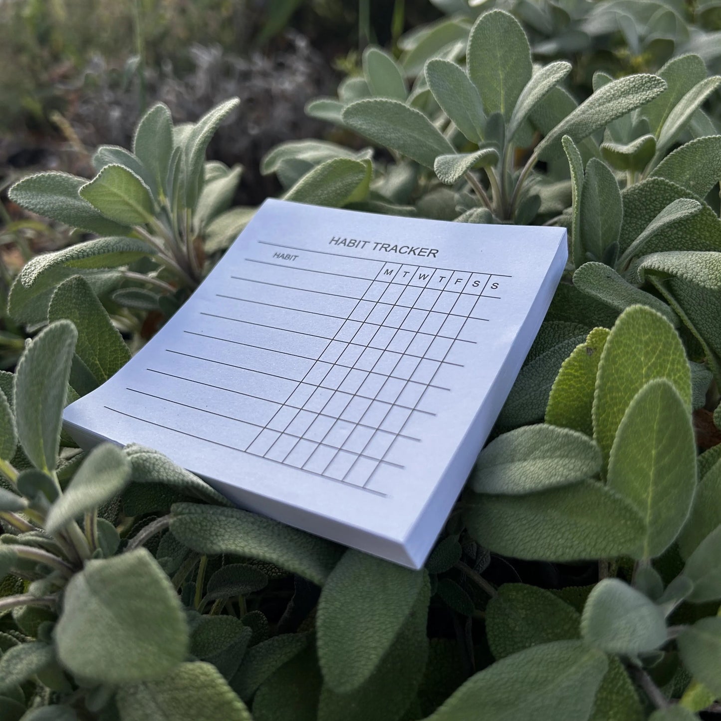 Block um tägliche Habits zu tracken liegt auf weichen grünen Pflanzen, Foto seitlich