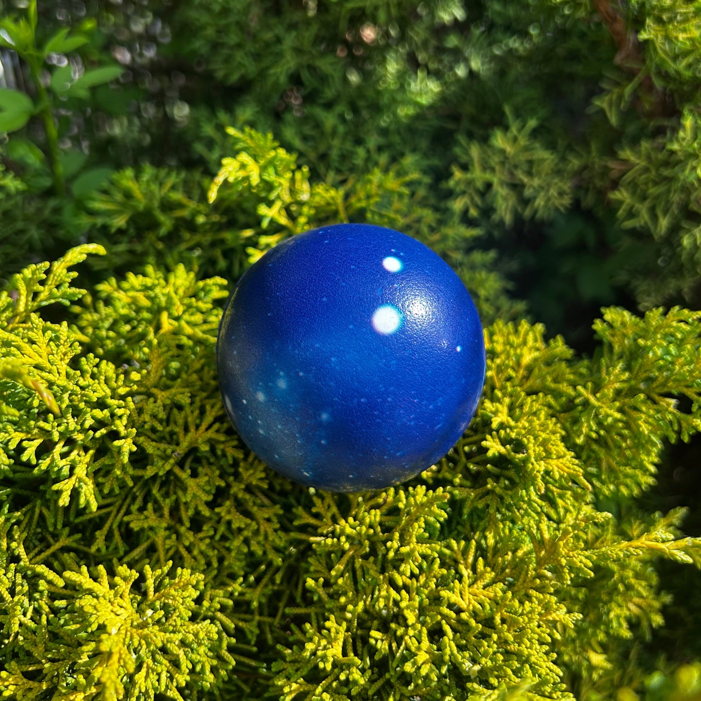Stressball in blau liegt auf grüner Thuja Hecke
