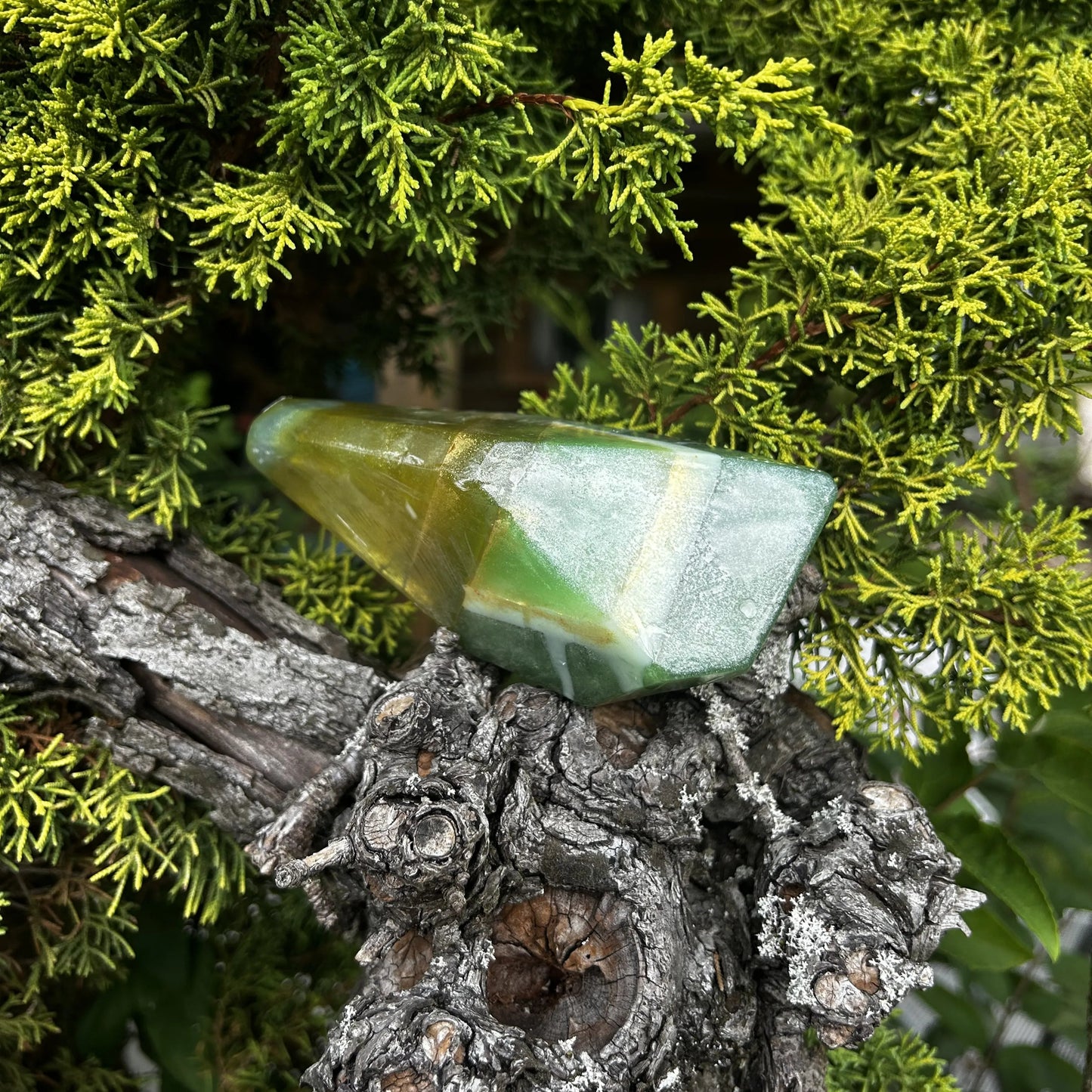 Die aquamarine Crystal Soap liegt in einem Baum umgeben von grünen weichen Nadeln.