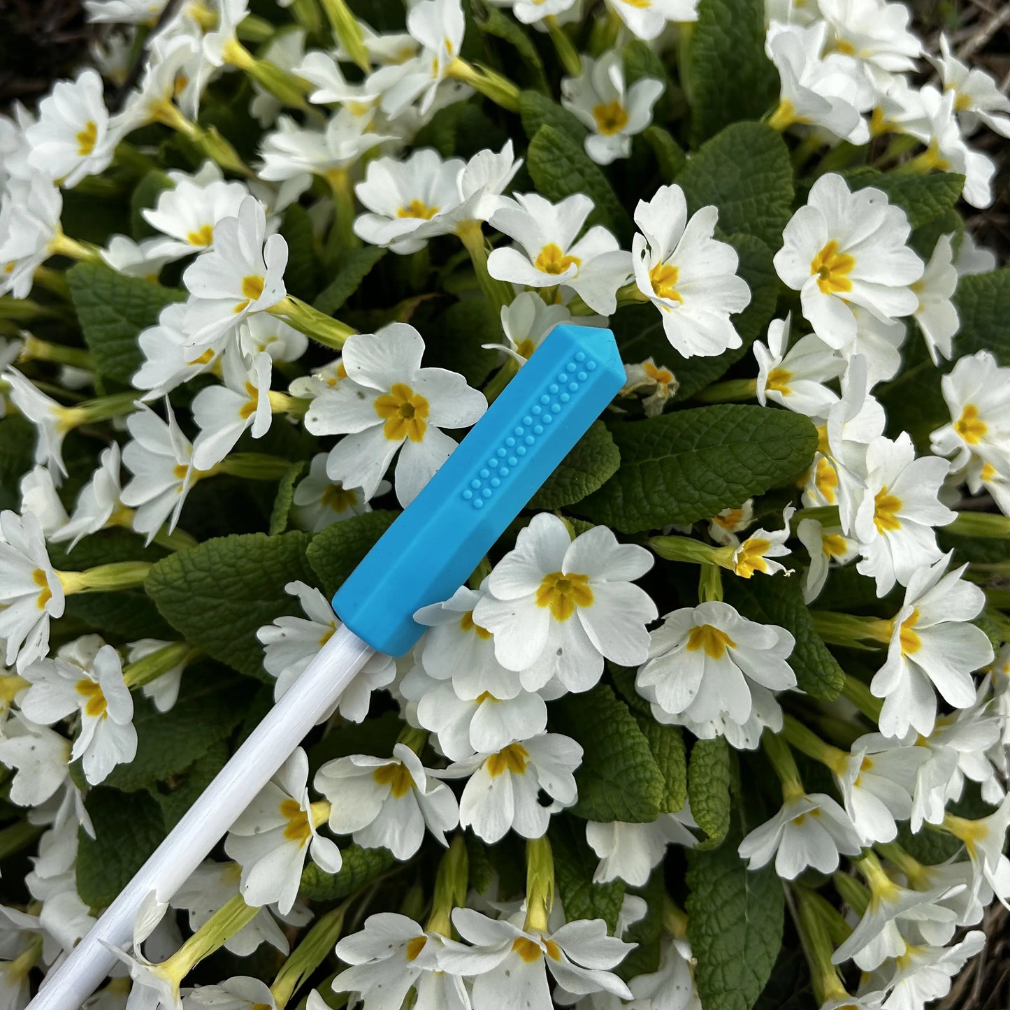 Blauer Beissaufsatz auf Stift liegt in mitten weisser kleinen Blumen