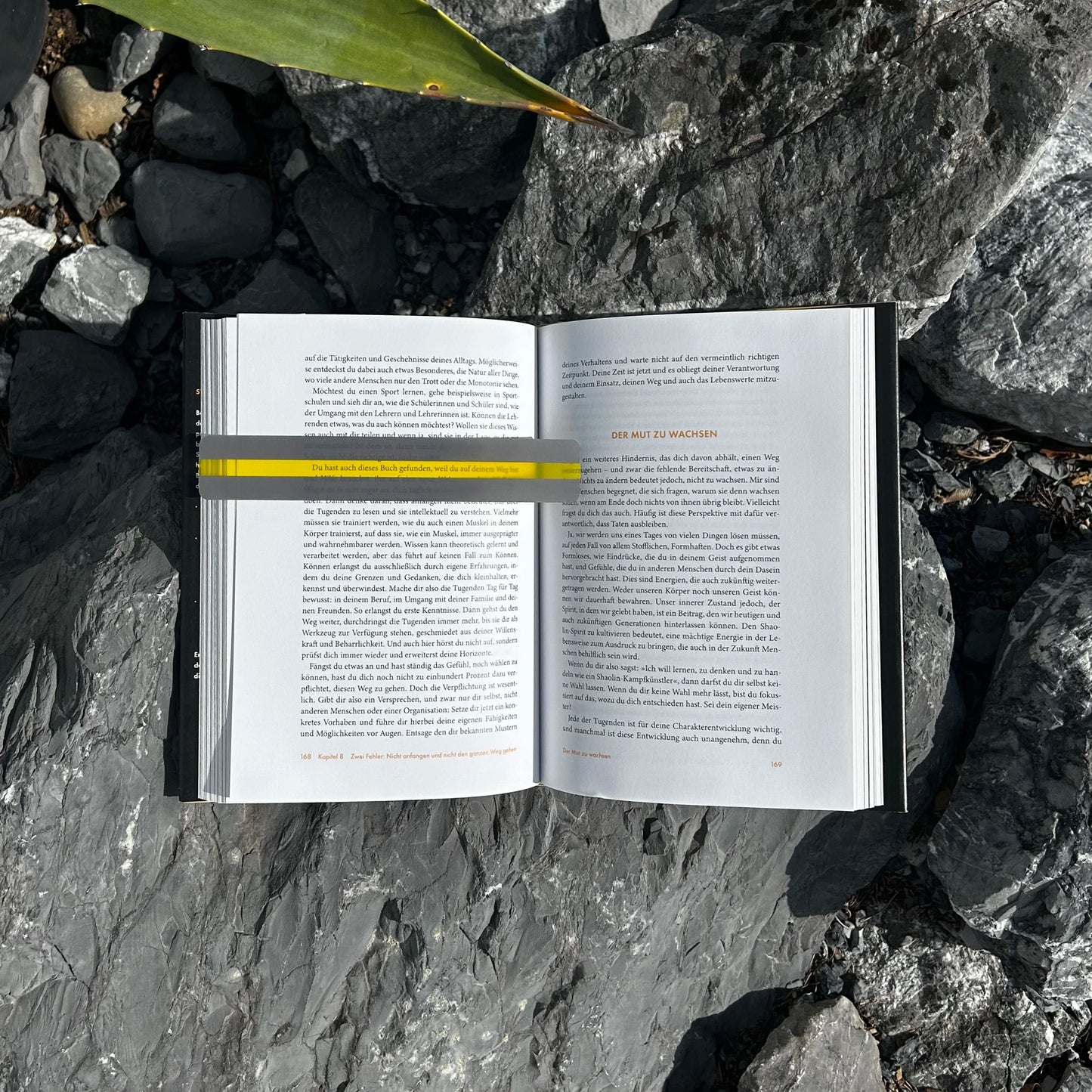 Gelber Streifen liegt auf einem Buch. Es dient als Lesehilfe. Das Buch liegt offen auf Steinen. 