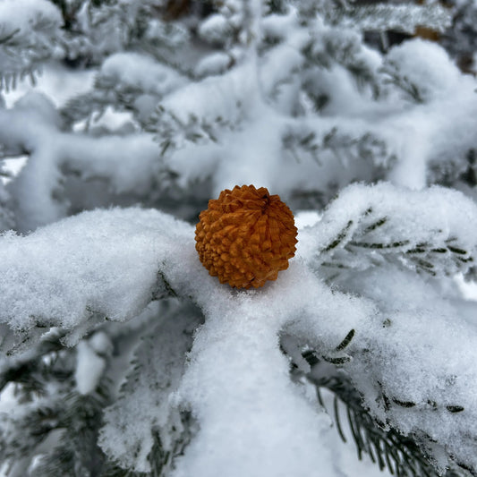 Hölzerner Massage-Igel liegt sanft auf einem Ast einer Schnee bedeckten Tanne.