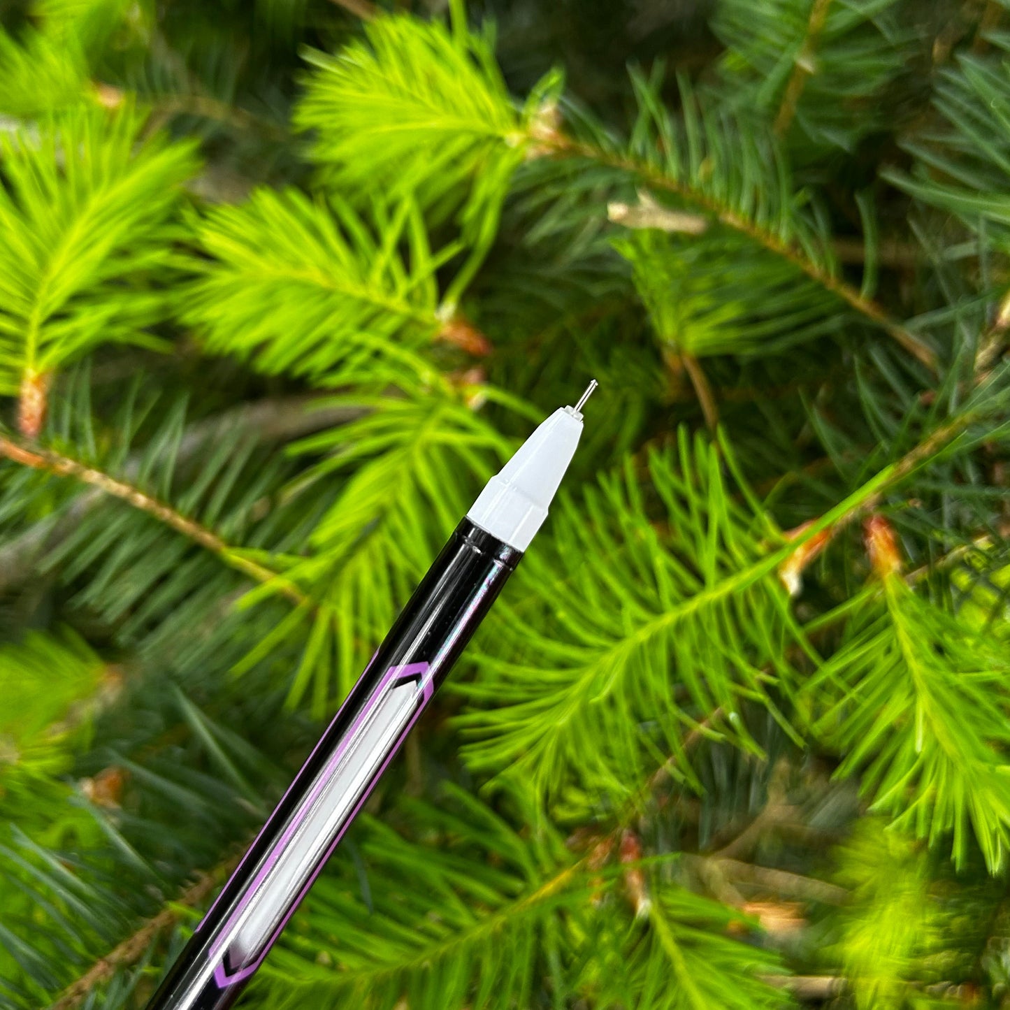 Spitziger Stift zum Schreiben. Die Spitze ist im Fokus. Im Hintergrund ist eine Tanne.
