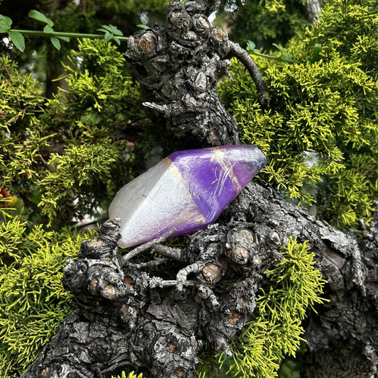 Die amethyst Crystal Soap liegt in einem Baum umgeben von grünen weichen Nadeln.
