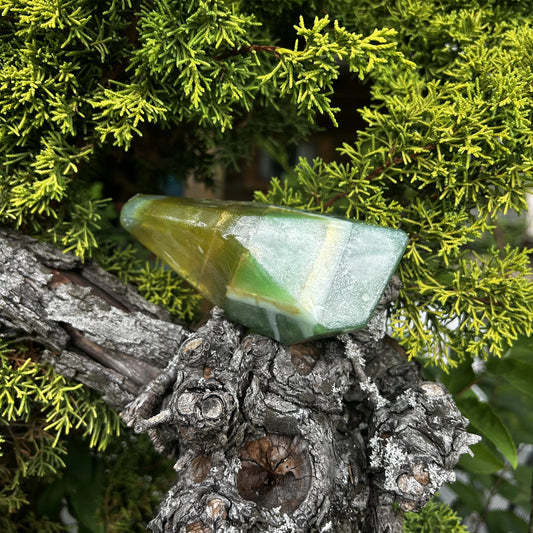 Die aquamarine Crystal Soap liegt in einem Baum umgeben von grünen weichen Nadeln.